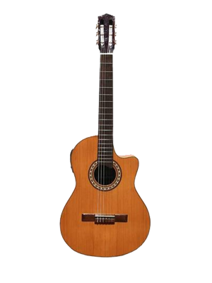 Wilde Luxe con EQ Fishman Guitarra Electrocriolla con EQ y Corte
