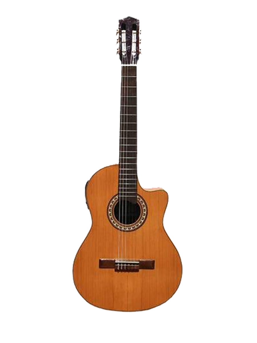 Wilde Luxe con EQ Fishman Guitarra Electrocriolla con EQ y Corte