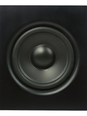 Lexsen M-Sub10 Subwoofer Activo 10" 250W con X-Over Incluido