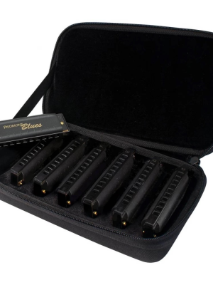 Set De Siete Armónicas Diatónica Hohner Piedmont Blues M91107s