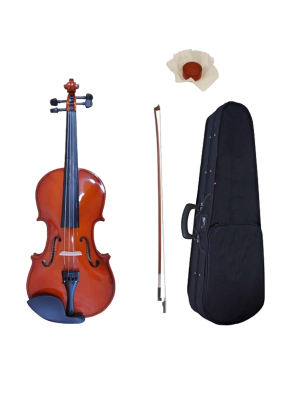 Violin Palatino de Estudio 4/4 Con Estuche, Arco y Resina